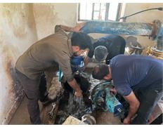 تأمین آب آشامیدنی پایدار در روستای گرگر بندرماهشهر