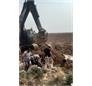 پایداری آبرسانی به ۱۵ روستای هویزه با اجرای خط انحرافی ۶۰۰ متری در عملیات ۷۲ ساعته