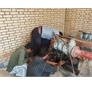 بازگشت الکتروپمپ روستای آهنگری گتوند به مدار؛ مشکل افت فشار آب برطرف شد