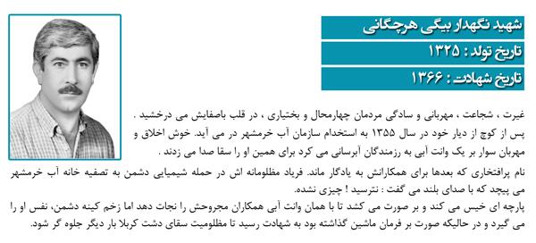 شهید نگهدار بیگی هرچگانی