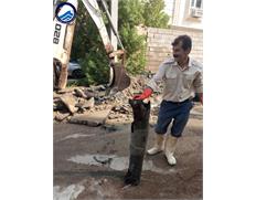 ریشه درخت؛ علت پس زدگی شبکه فاضلاب بیش از ۱۰۰ خانوار...